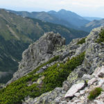 Widok spod szczytu Ornaku (1854 m) na Dolinę Starorobociańską
