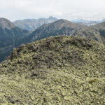 Rumowisko "zielonych" kamieni pod szczytem Ornaku (1854 m)