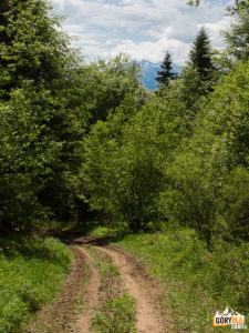 Czerwony szlak z Płaśni na Przełęcz Cerla (610 m)