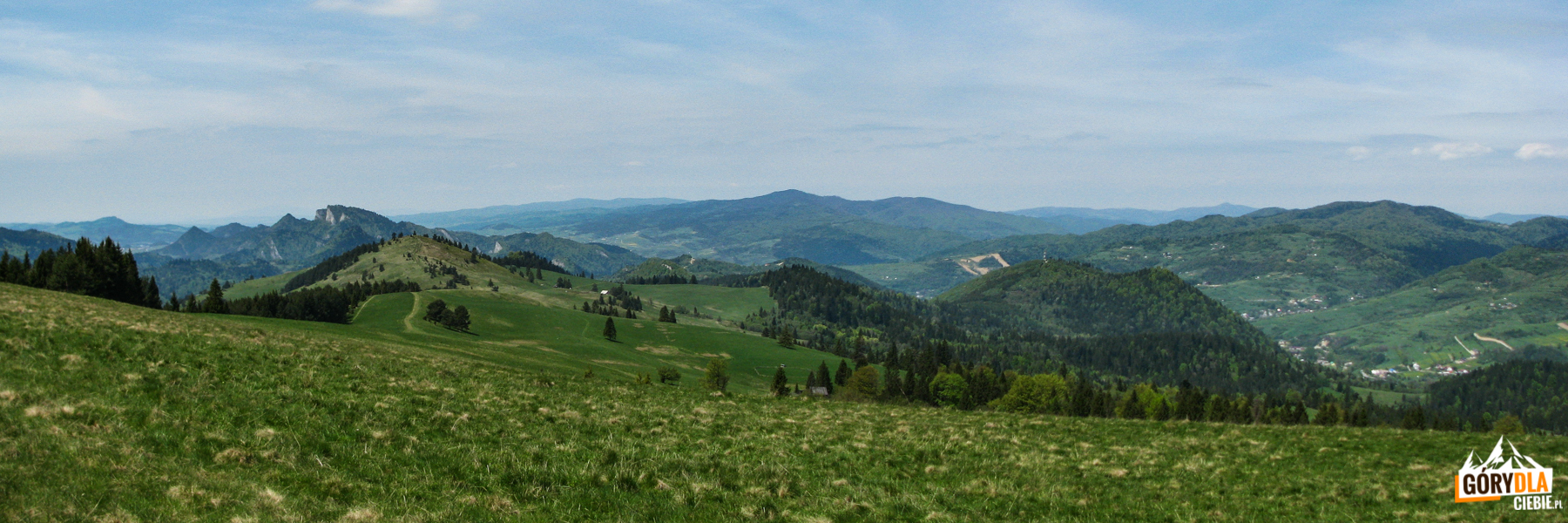 Widok z Durbaszki (934 m) - od lewej: Pieniny Właściwe (Trzy Korony), grań Małych Pienin (Wysoki Wierch), Gorce (Lubań), Beskid Wyspowy (Mogielica) i Pasmo Przehyby