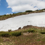 Czerwcowy śnieg pod szczytem Diablaka