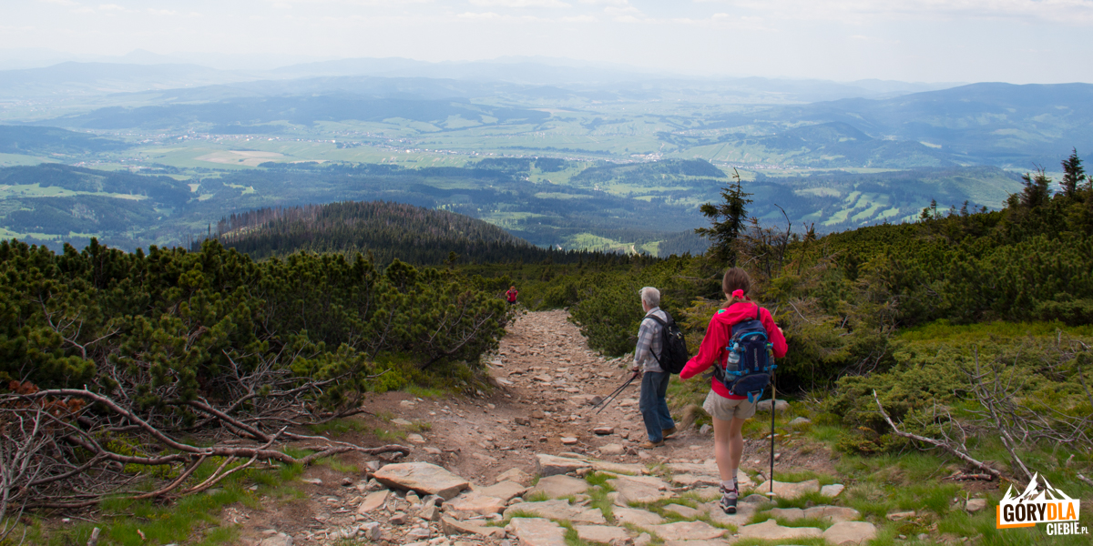 Zejście ze szczytu Babiej Góry żółtym szlakiem na słowacką stronę