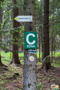 Szlaki przy przejściu granicy pod Czyżów Wierszek (droga do Stańcowej)