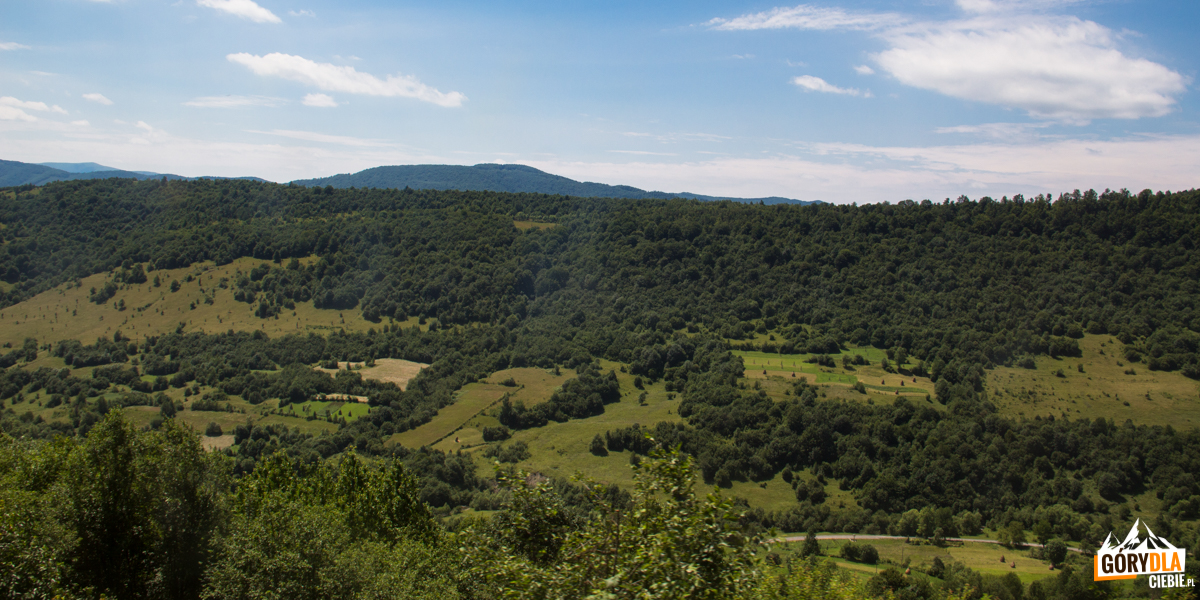 Panorama z trasy Sianki-Wołosanka