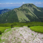 Bobrowiec (1663 m) widziany z podejścia na szczyt Grzesia (1653 m)