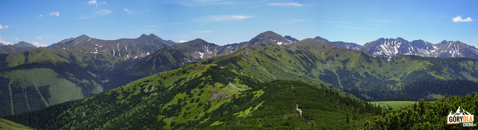Panorama ze szczytu Grzesia (1653 m): główna grań Tatr Zachodnich, od Przełęczy Tomanowej przez Błyszcz (2159 m), Starorobociański Wierch (2176 m), Jarząbczy Wierch (2137 m), Wołowiec (2064 m) i grań Rohaczy po Banówkę (2178 m) i Salatyn (2048 m)