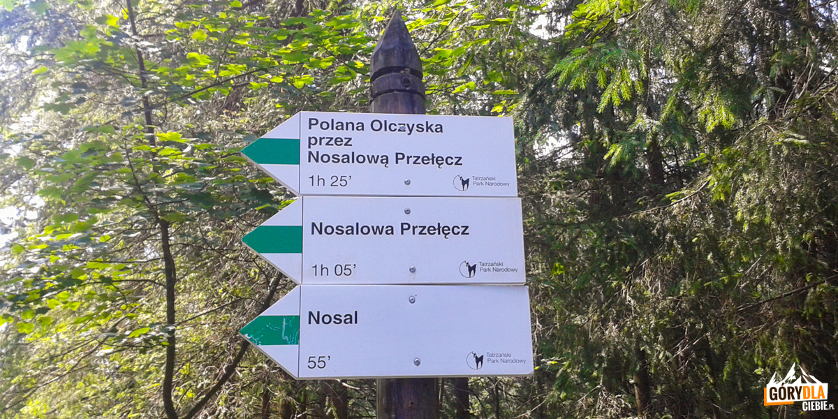 Drogowskazy zielonego szlaku przy kasie TPN koło Tamy Pod Nosalem