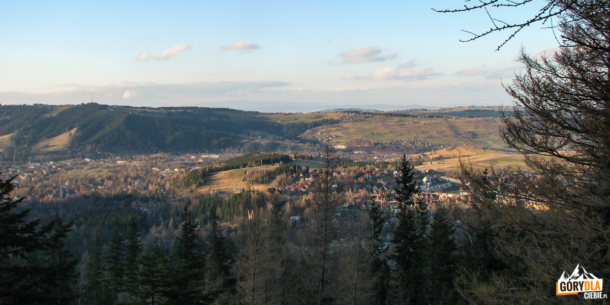 Panorama Zakopanego i Gubałówki, z grani Nosala