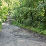 Droga leśna prowadząca do Lipowca