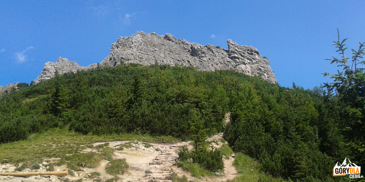 Szczyt Sarniej Skały (1377 m) od strony Czerwonej Przełęczy
