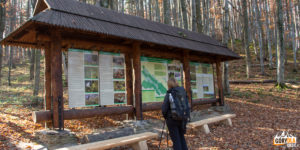 Tablice informacyjne Bieszczadzkiego Parku Narodowego na trasie na Bukowe Berdo