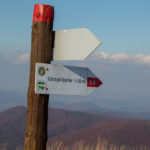 Zejście z Szerokiego Wierchu (czerwony szlak)