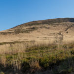 Ścieżka na Szeroki Wierch z Ustrzyk Górnych