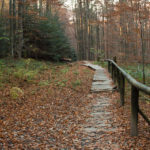 Na trasie z Szerokiego Wierchu do Ustrzyk Górnych