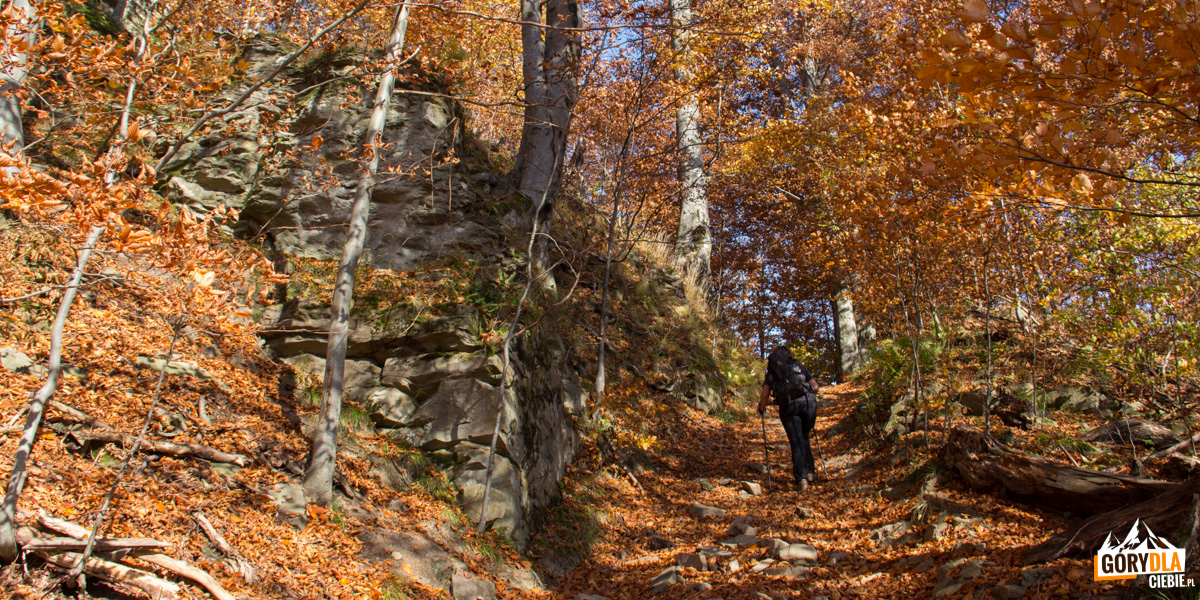 Wychodnia skalna zbudowana z piaskowca krośnieńskiego przy czerwonym szlaku na Dwernik Kamień, powyżej niej znajduje się II przystanek ścieżki przyrodniczej