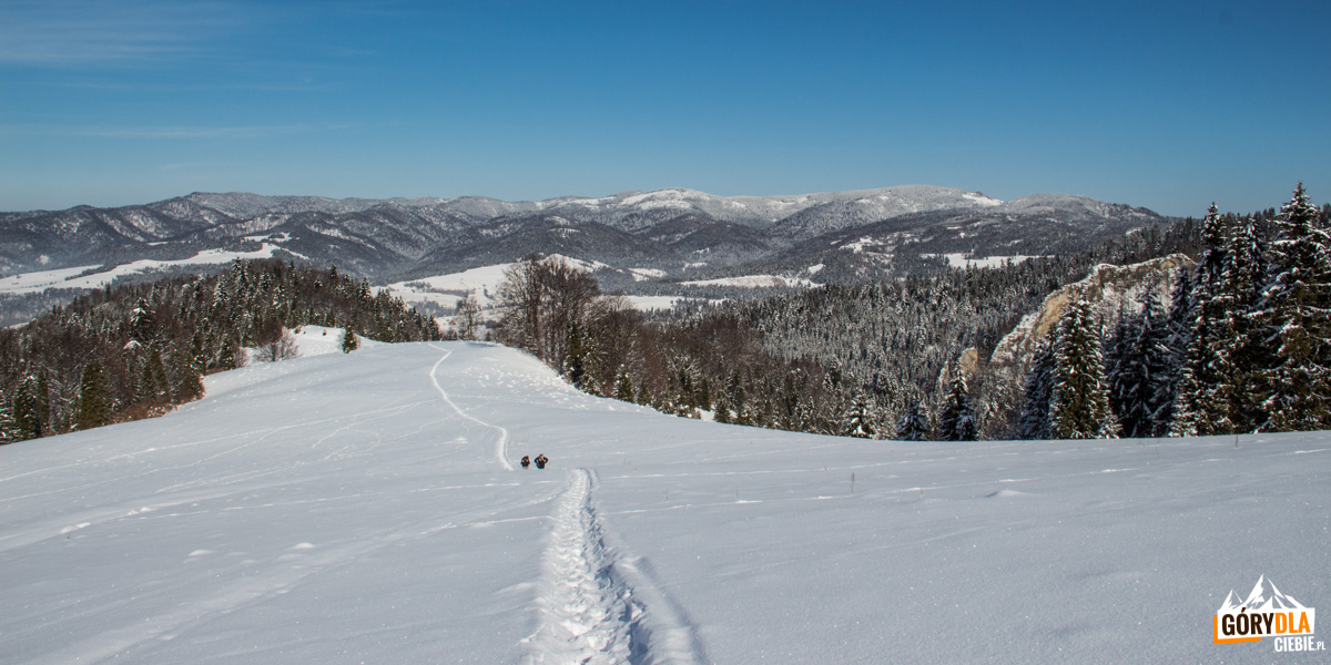 Podejście od strony stacji narciarskiej Jaworki na polanę pod Wysoką