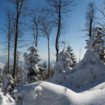 Zimowy las na Lubogoszczy