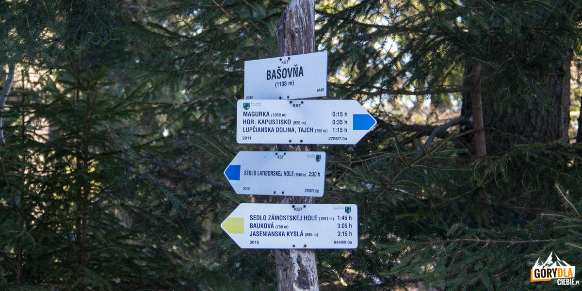 Szlaki na główny grzbiet Niżnych Tatr (Dumbierskich Tatr), żółty wychodzi na sedlo Zámostskej hole, a niebieski na sedlo Latiborskej hoľe
