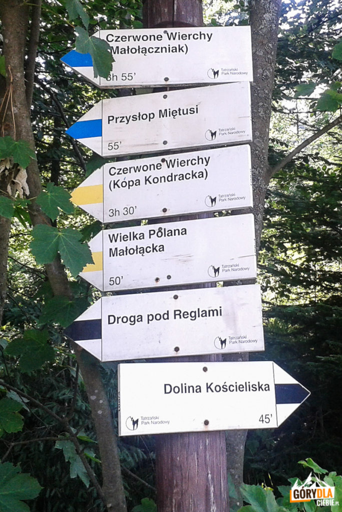 Drogowskazy przy wejściu do Doliny Małej Łąki