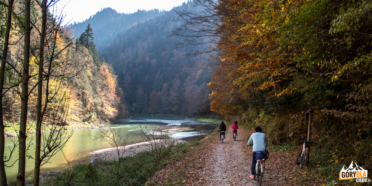 Jesienią Droga Pienińska jest idealnym miejscem na wycieczki rowerowe
