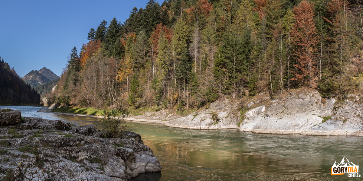 Skała zwana „Janosikowy Skok” lub „Zbójnicki Skok”znajduje się w miejscu największego zwężenia Dunajca