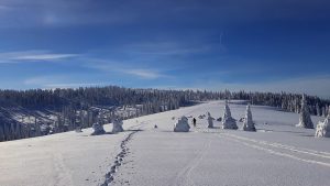 Hala Turbacz, zdj. Kamil Sułkowski