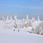 Przejście z Potrójnej w stronę Chatki na Potrójnej