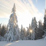 Potrójna o zachodzie słońca