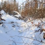 Beskid Mały - początek szlaku czerwonego pod Potrójną