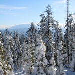 Rezerwat Madohora - widok na Babią Górę