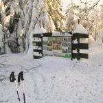 Przełęcz Zakocierska (801 m)