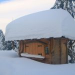 Przełęcz Zakocierska (801 m)