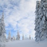 Ostatnie metry przed Potrójną, ogromne ilości śniegu i zasypany szlak wymusza obejście, przechodzimy obok, łąką