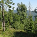 Ostatnie podejście na szczyt Eliaszówki