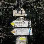 Słowackie drogowskazy szlaków na szczycie Eliaszówki (1024 m)