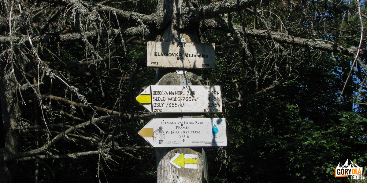 Słowackie drogowskazy szlaków na szczycie Eliaszówki (1024 m)