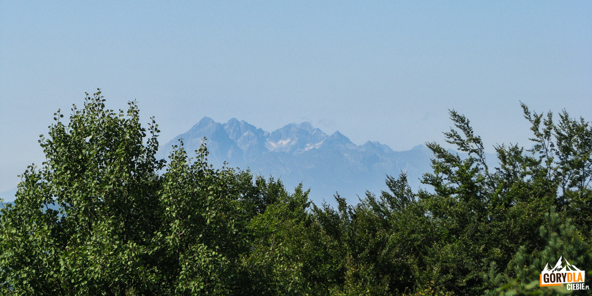 Tatry Wysokie widziane z wieży widokowej na Eliaszówce