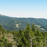 Wielki Rogacz i Niemcowa widziane z wieży widokowej na Eliaszówce