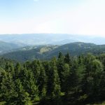 Pasmo Jaworzyny Krynickiej i w dole Kosarzyska - widziane z wieży widokowej na Eliaszówce