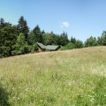 Widokowe polany na drodze zejścia niebieskim szlakiem z Eliaszówki do Kosarzysk