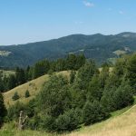 Widokowe polany na drodze zejścia niebieskim szlakiem z Eliaszówki do Kosarzysk