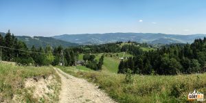 Widokowe polany na drodze zejścia niebieskim szlakiem z Eliaszówki do Kosarzysk