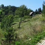 Osiedla na drodze zejścia niebieskim szlakiem z Eliaszówki do Kosarzysk