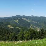 Widokowe polany na drodze zejścia niebieskim szlakiem z Eliaszówki do Kosarzysk