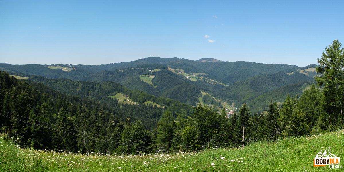 Widokowe polany na drodze zejścia niebieskim szlakiem z Eliaszówki do Kosarzysk