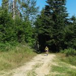Droga zielonego szlaku na Eliaszówkę jest również szlakiem rowerowym