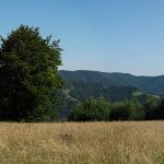 Polana Górna Stacje (930 m) w drodze na Eliaszówkę