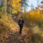 Ścieżka zielonego szlaku do Schroniska pod Szarotką (słow. chata Plesnivec)