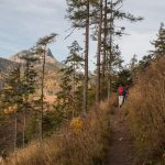 Widoki ze ścieżki zielonego szlaku do Schroniska pod Szarotką (słow. chata Plesnivec)