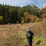 Ścieżka zielonego szlaku do Białego Jeziora (słow. Veľké Biele pleso)